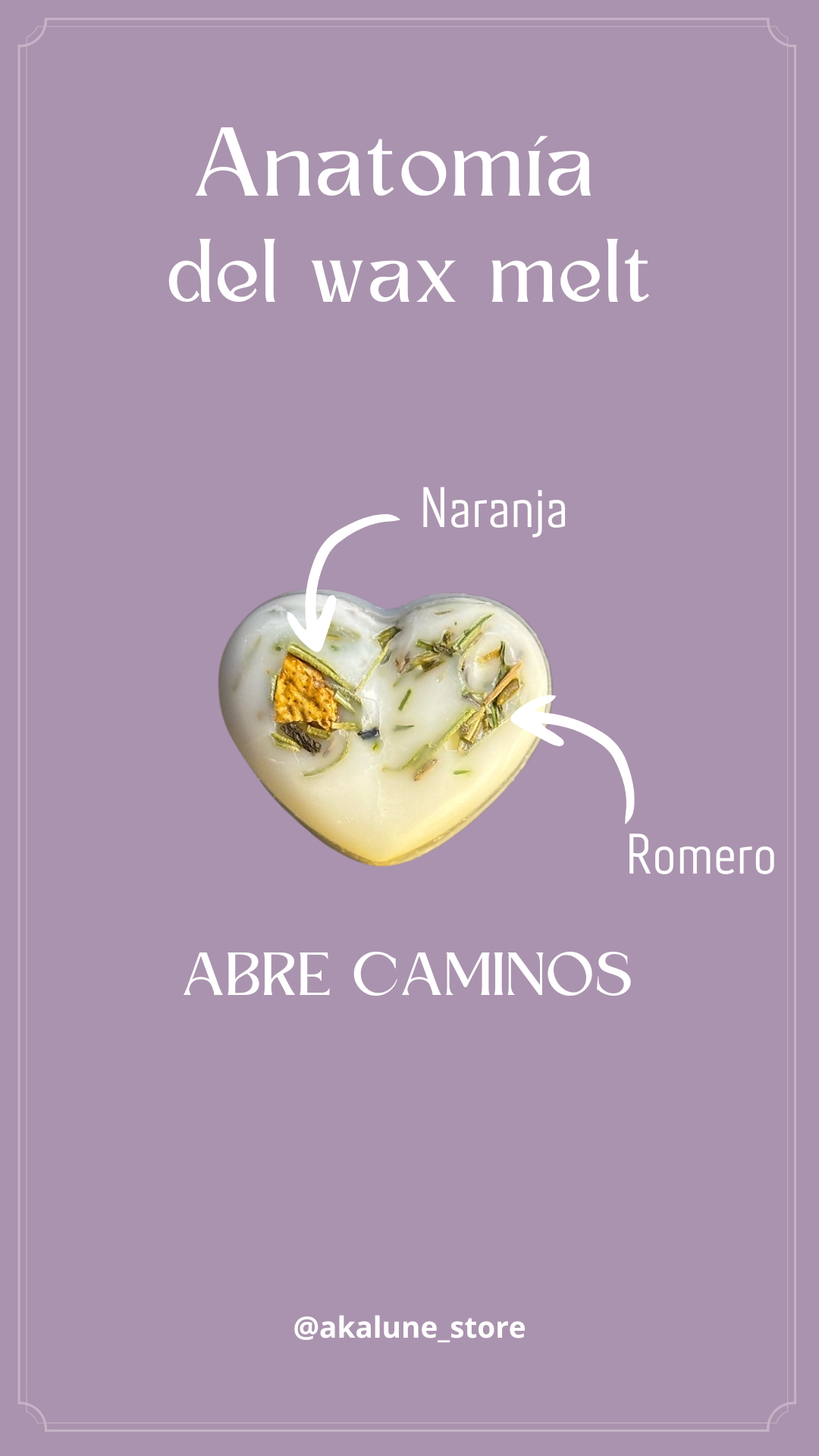 Abre caminos (10 Piezas)