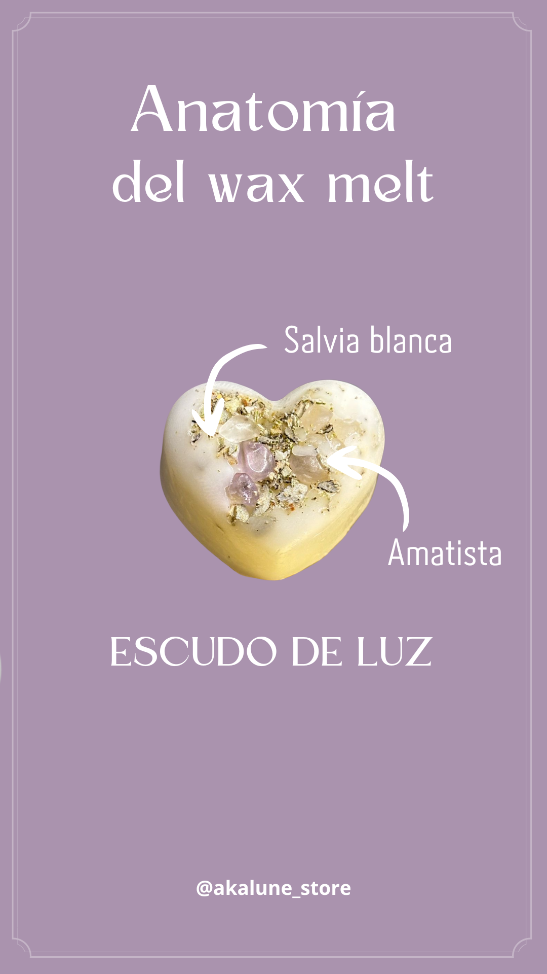 Escudo de luz (10 Piezas)